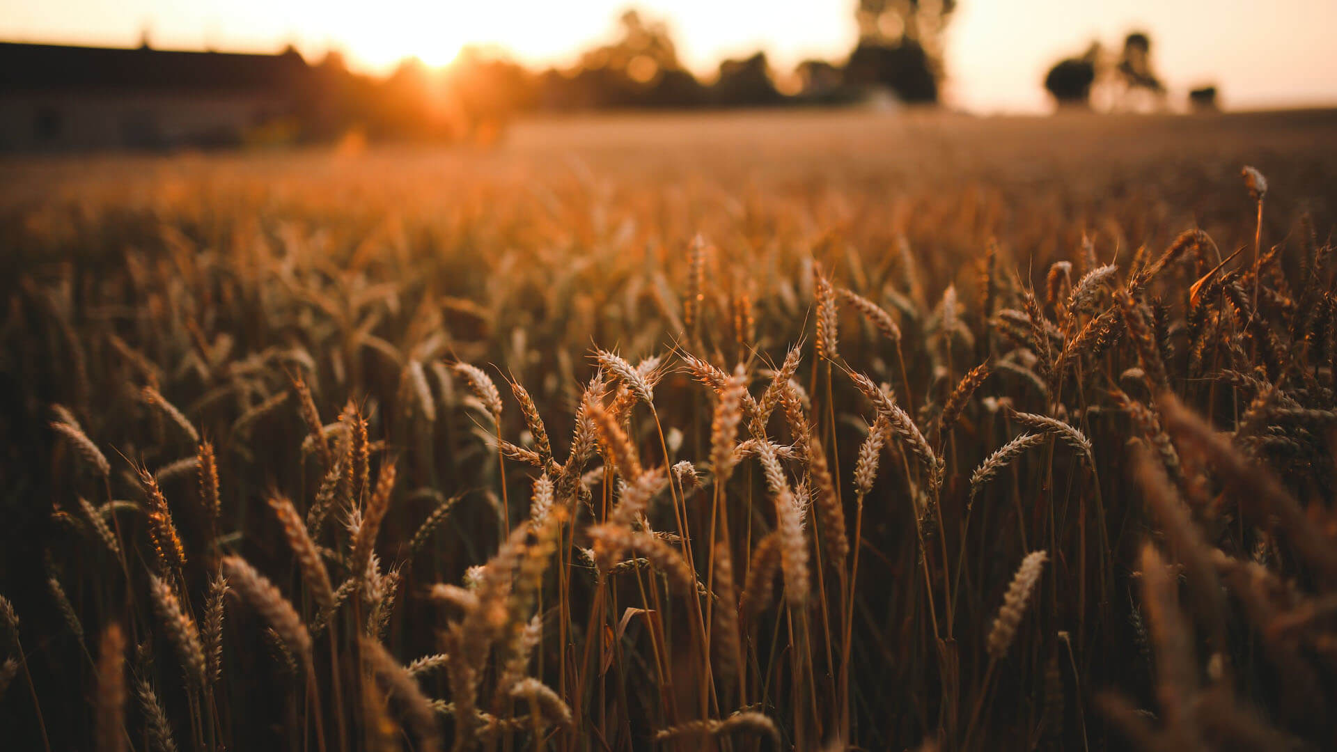 Zeiterfassung App Garten- und Landschaftsbau